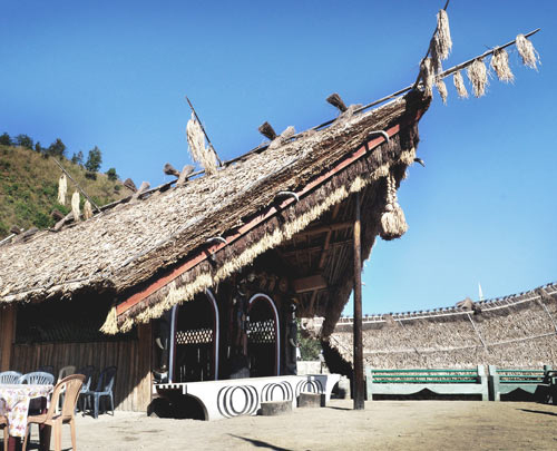 Dzuku Valley Nagaland